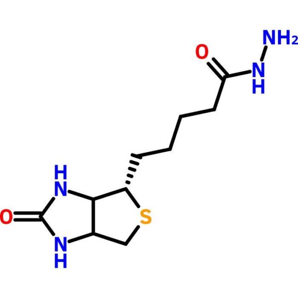 Biotin Hydrazide