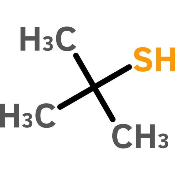 tert-Butyl Mercaptan