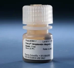 Streptavidin Magnetic Beads