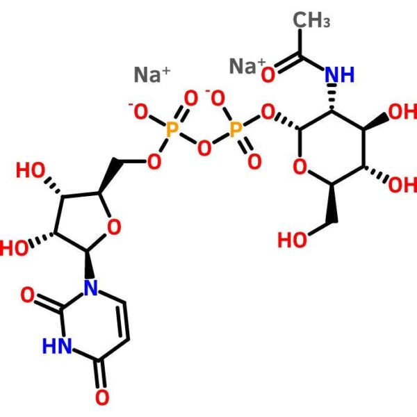 Uridine 5'-Diphospho-N-acetylglucosamine Sodium Salt