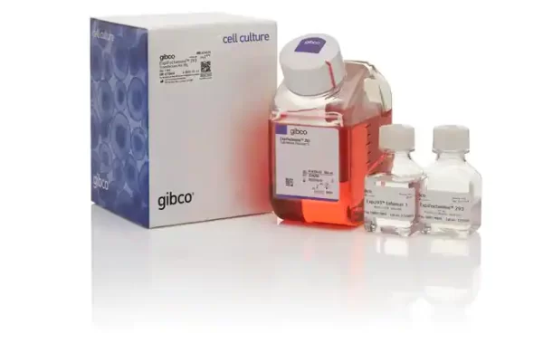 Gibco™ ExpiFectamine™ 293 Transfection Kit