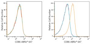 ABflo® 647 Rabbit anti-Human CD86 mAb