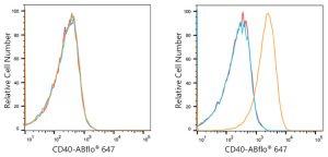 ABflo® 647 Rabbit anti-Human CD40 mAb