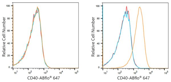 ABflo® 647 Rabbit anti-Human CD40 mAb