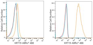 ABflo® 488 Rabbit anti-Human Cytokeratin 19 (KRT19) mAb