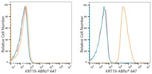 ABflo® 647 Rabbit anti-Human Cytokeratin 19 (KRT19) mAb