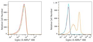 ABflo® 488 Rabbit anti-Human Siglec-8 mAb