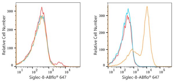 ABflo® 647 Rabbit anti-Human Siglec-8 mAb