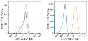 ABflo® 488 Rabbit anti-Human Integrin-β1/CD29 mAb