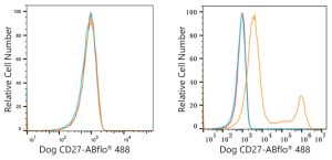 ABflo® 488 Rabbit anti-Dog CD27 mAb