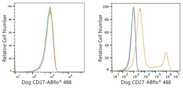 ABflo® 488 Rabbit anti-Dog CD27 mAb