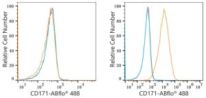 ABflo® 488 Rabbit anti-Human CD171/L1CAM mAb