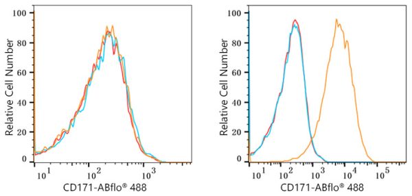 ABflo® 647 Rabbit anti-Human CD171/L1CAM mAb