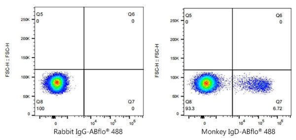 ABflo® 488 Rabbit anti-Monkey IgD mAb