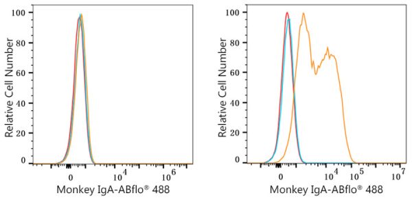 ABflo® 488 Rabbit anti-Monkey IgA mAb