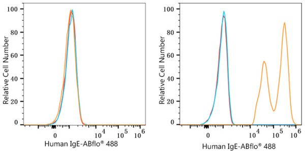 ABflo® 488 Rabbit anti-Human IgE mAb