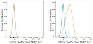 ABflo® 647 Rabbit anti-FITC/5-FAM/6-FAM mAb