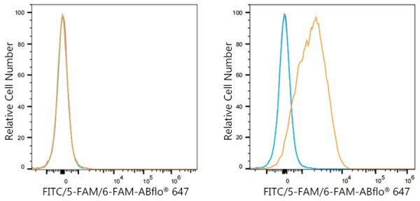 ABflo® 647 Rabbit anti-FITC/5-FAM/6-FAM mAb