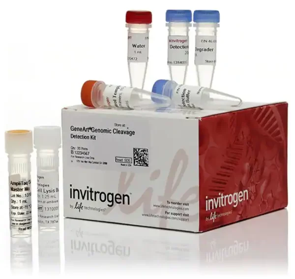 Invitrogen™GeneArt™ Genomic Cleavage Detection Kit