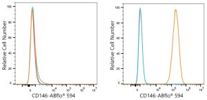 ABflo® 594 Rabbit anti-Human CD146 mAb