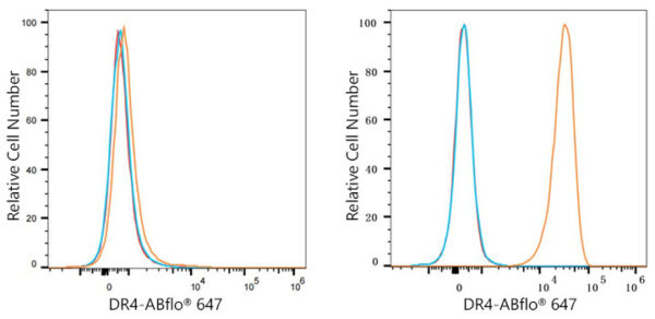 DR4 Rabbit mAb