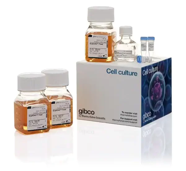 Gibco™ ExpiFectamine™ CHO Transfection Kit