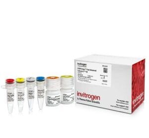 Invitrogen™SYBR™ Green Fast Advanced Cells-to-CT™ Kit X