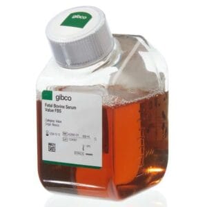 Gibco™Fetal Bovine Serum, value, heat inactivated X