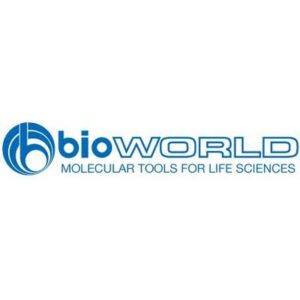 X-100 Lysis Buffer, pH 8.0