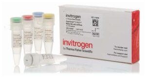 Invitrogen™ SuperScript™ IV VILO™ Master Mix X