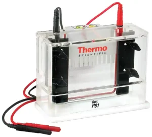 Thermo Scientific™ Owl™ P81 Single-Sided Vertical Electrophoresis System, 10 x 10cm gel size, 150mL buffer volume