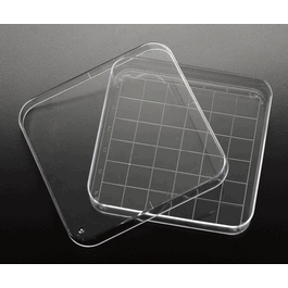 Simport Square Petri Dishes with Grid, 100 x 15 mm, Polystyrene, Sterile