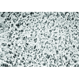 PolySep, Polypropylene, White, Plain, 0.1 Micron, 25mm
