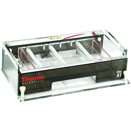 Owl Horizontal Electrophoresis System with BEP