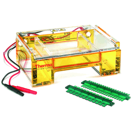 Owl EasyCast B2 Mini Gel Electrophoresis System with Buffer Exchange Ports (BEP), 800 mL, 12 x 14 cm