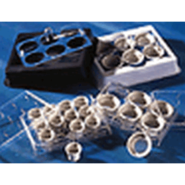 15 mm Netwell Insert with 440 um Mesh Size Polyester Membrane, Sterile