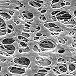 Magna PES (Polyethersulfone) Membrane