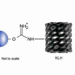 KLH Separopore 4B, 10 mL