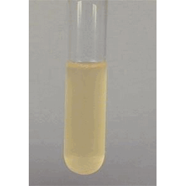 Lactose Broth, 500 g