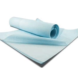 Polycarbonate Track Etched (PCTE) Membrane Sheet, 203 x 254 mm, 2 um