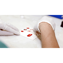 Dried blood spot, ultra purity cotton paper card 2x3 inch, research only, 50 pack