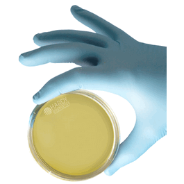 TSA (Tryptic Soy Agar), USP, 15 x 100 mm Petri Plate, 26 mL deep fill
