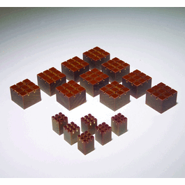 Embedding Blocks, 1 x 1 x 3/4 in.