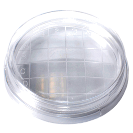 Bioplast Petri Dish, Slippable, 65 x 15 mm, with Convex Bottom
