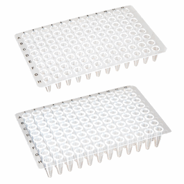 0.2mL 96-Well PCR Plate, No Skirt, Flat Top, Clear