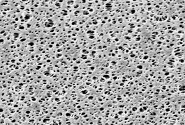 PES Membrane_ 0.1um_ 47mm_ 100pk
