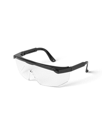 Safety Glasses, Adult, PC