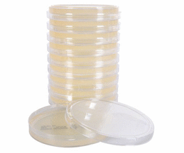 Potato Dextrose Agar (PDA), USP, for fungal cultures