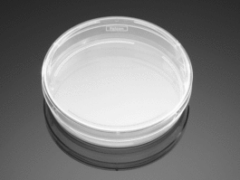 Falcon 100mm x 20mm Style Cell Culture Dish, Tissue Culture-Treated, Sterile, Bulk Packaged, 20/Pack, 200/Case