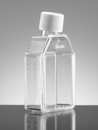 Falcon 12.5cm2 Rectangular Canted Neck Cell Culture Flask with Blue Plug Seal Screw Cap